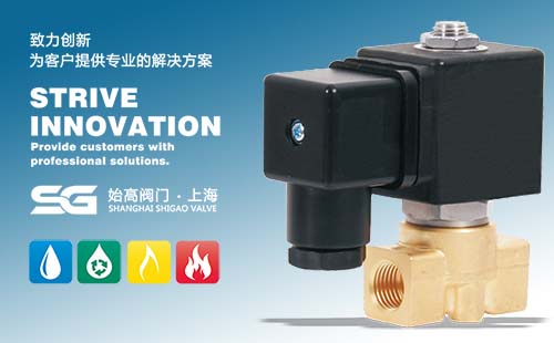 SGTT11���]ֱ��ʽ늴��y