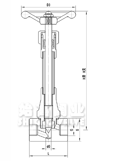 �L�S�͜���y�ߴ�D