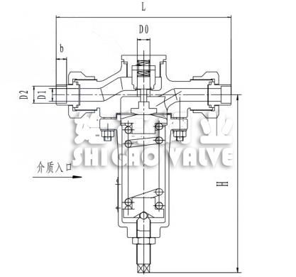 �͜������{���y�ߴ�D