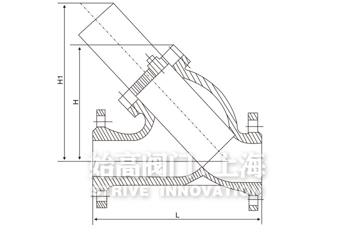 ���P�Y���^�V���ߴ�