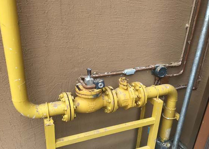 ȼ?x��)�늴��y