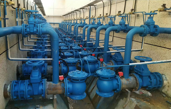 ���_�����y