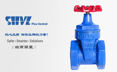 ��ī�T�F�z���l�y