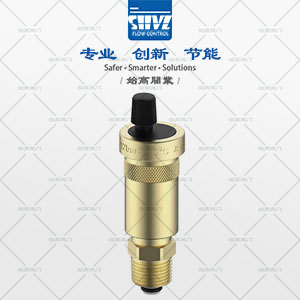 銅自動(dòng)排氣閥圖2