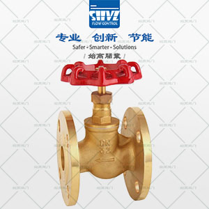 黃銅法蘭截止閥圖1