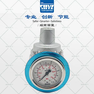 ���P�֧�ܜp���y�D1