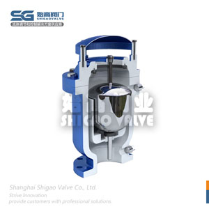 不銹鋼螺紋復(fù)合式排氣閥結(jié)構(gòu)圖1