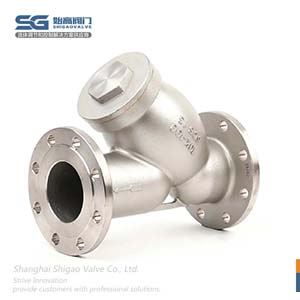 日標(biāo)Y型過濾器圖1