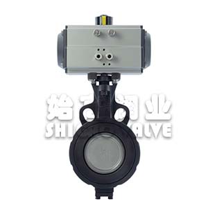 ��Ӹ������pƫ�ĵ��y�D2