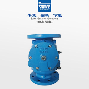 ���mʽ�ο��Ś��y