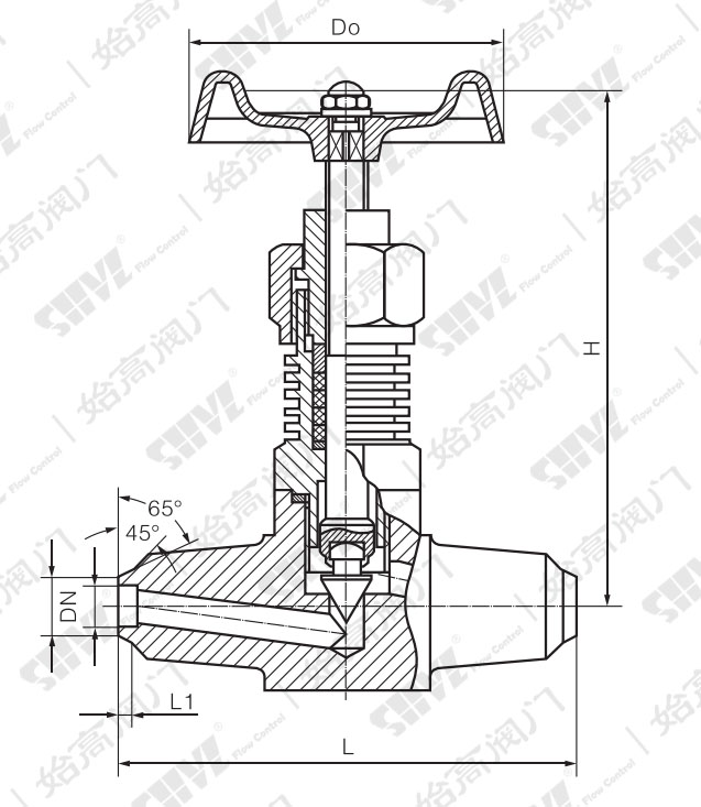 ����ʽT���^�V���ߴ�D