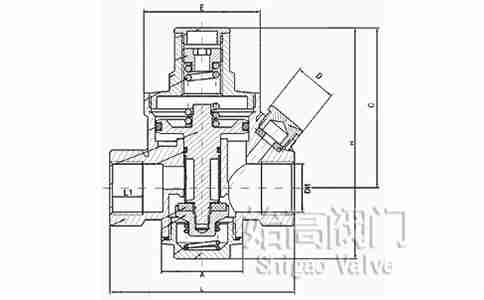 �S�~�p���y�ߴ�D