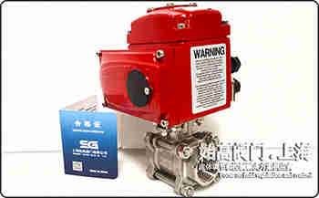 316L���|(zh��)늄�(d��ng)��Ƭʽ���y